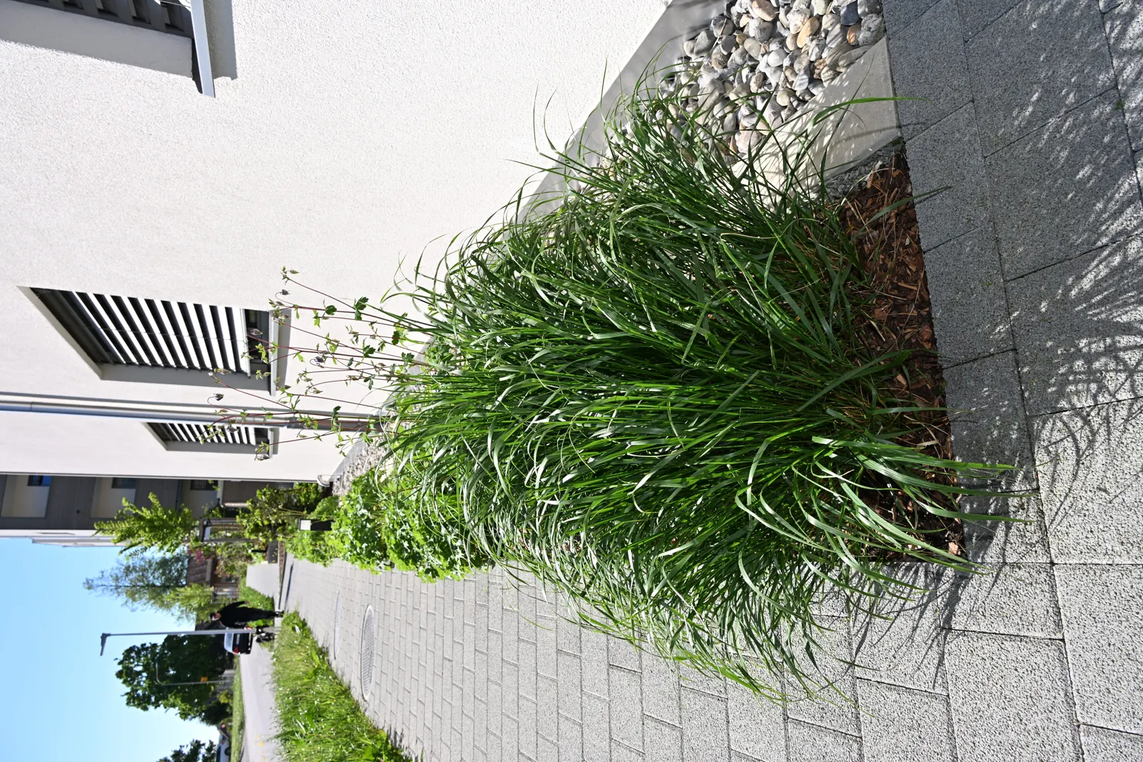 Beläge — Bild 9